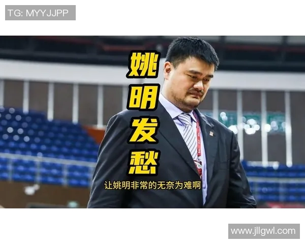 姚明以真诚之心劝说阿泰斯特重回赛场重拾篮球梦想